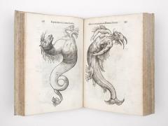 Ulisse Aldrovandi: Monstrorum historia. 1642