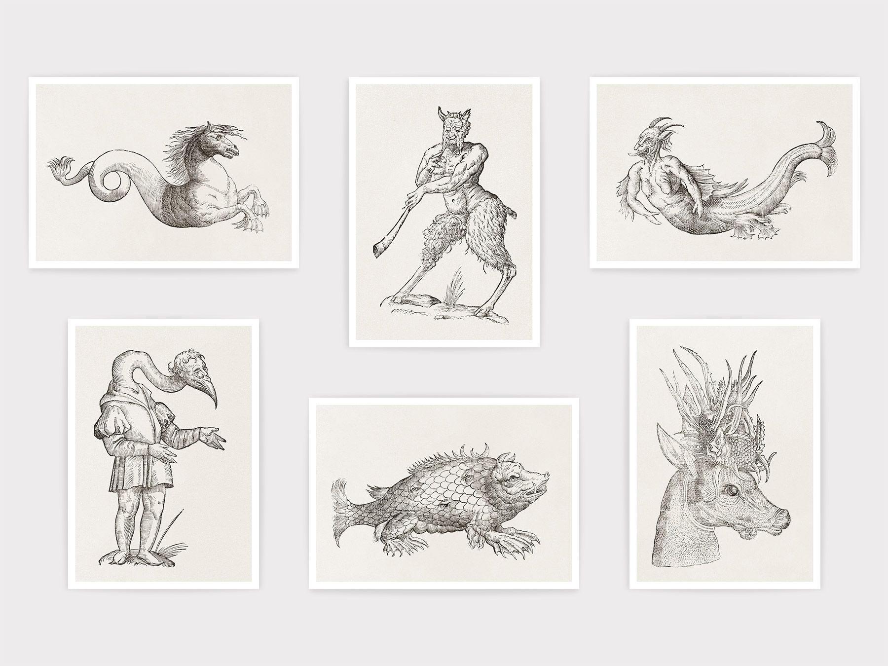 Ulisse Aldrovandi: Monstrorum historia., Pack of Postcards