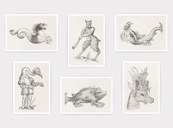 Ulisse Aldrovandi: Monstrorum historia., Pack of Postcards