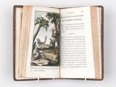 Campe: Robinson Crusoeus. 1810