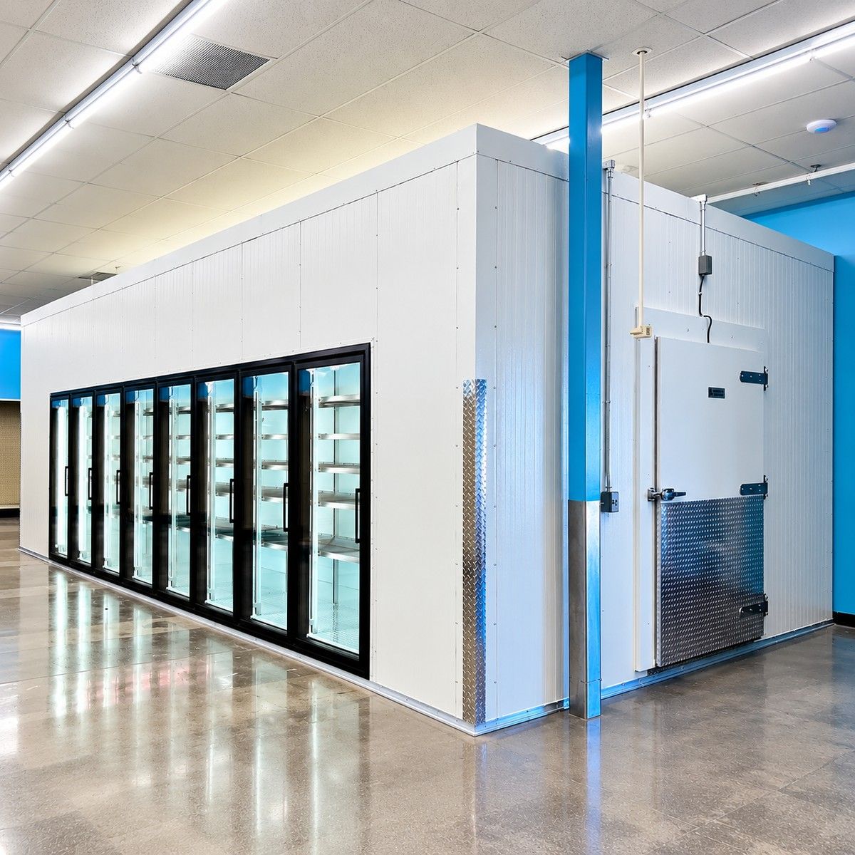 Walk-In Freezer Glass Door 30x12x8