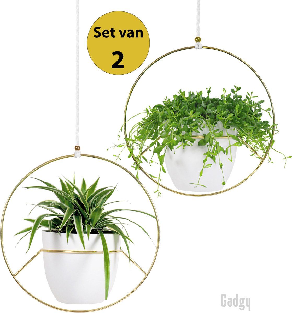 De slaapkamer schoonmaken doolhof Adviseur Plantenhanger voor Muur en Plafond Top - Makeover.nl