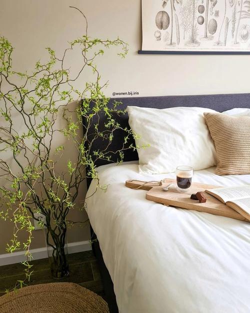 planten-slaapkamer-bed