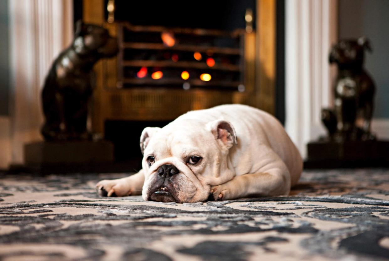 Antonia Stewart Interior Design Family Apartment London