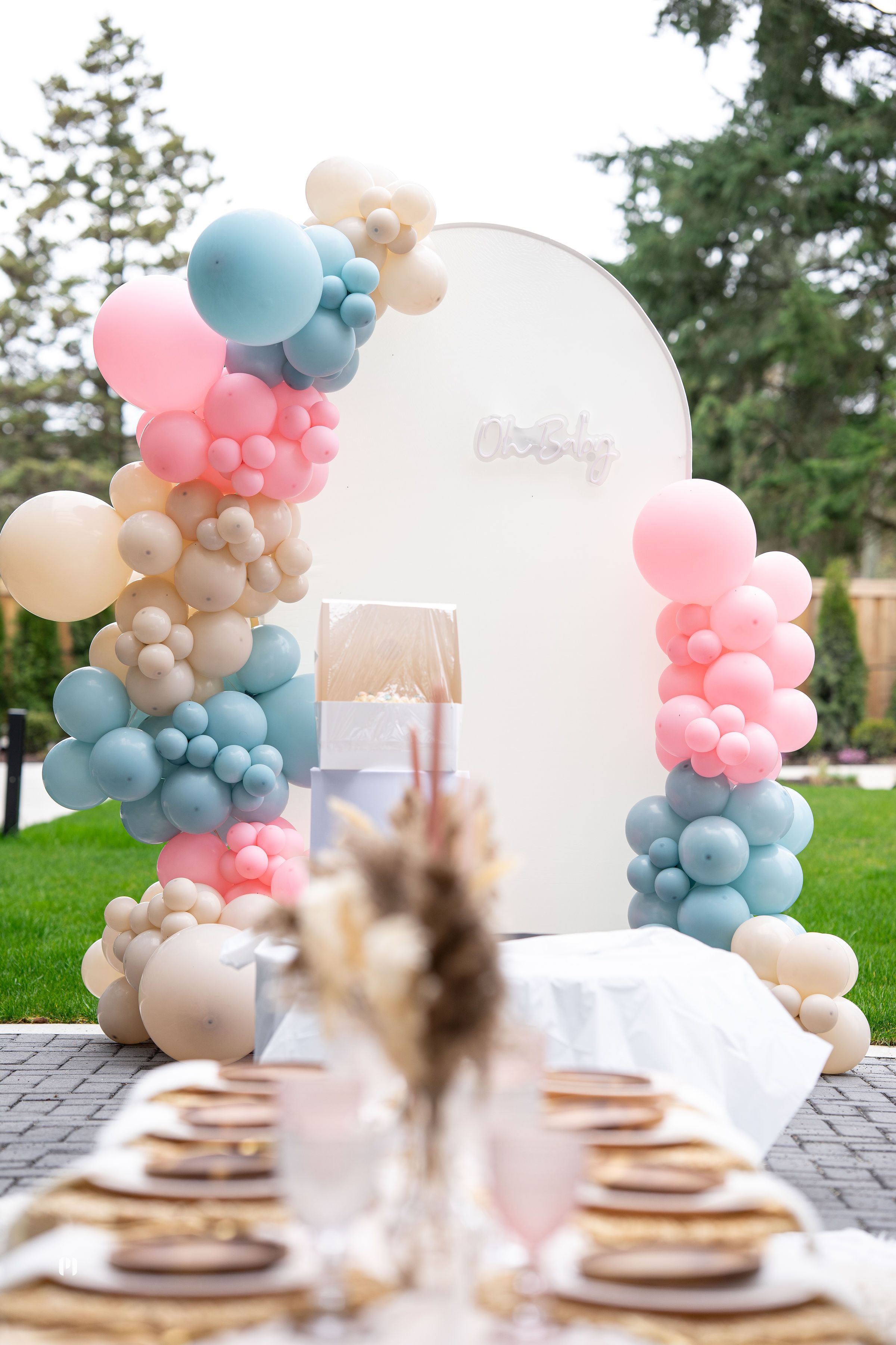 Luxury picnic setup by Thara