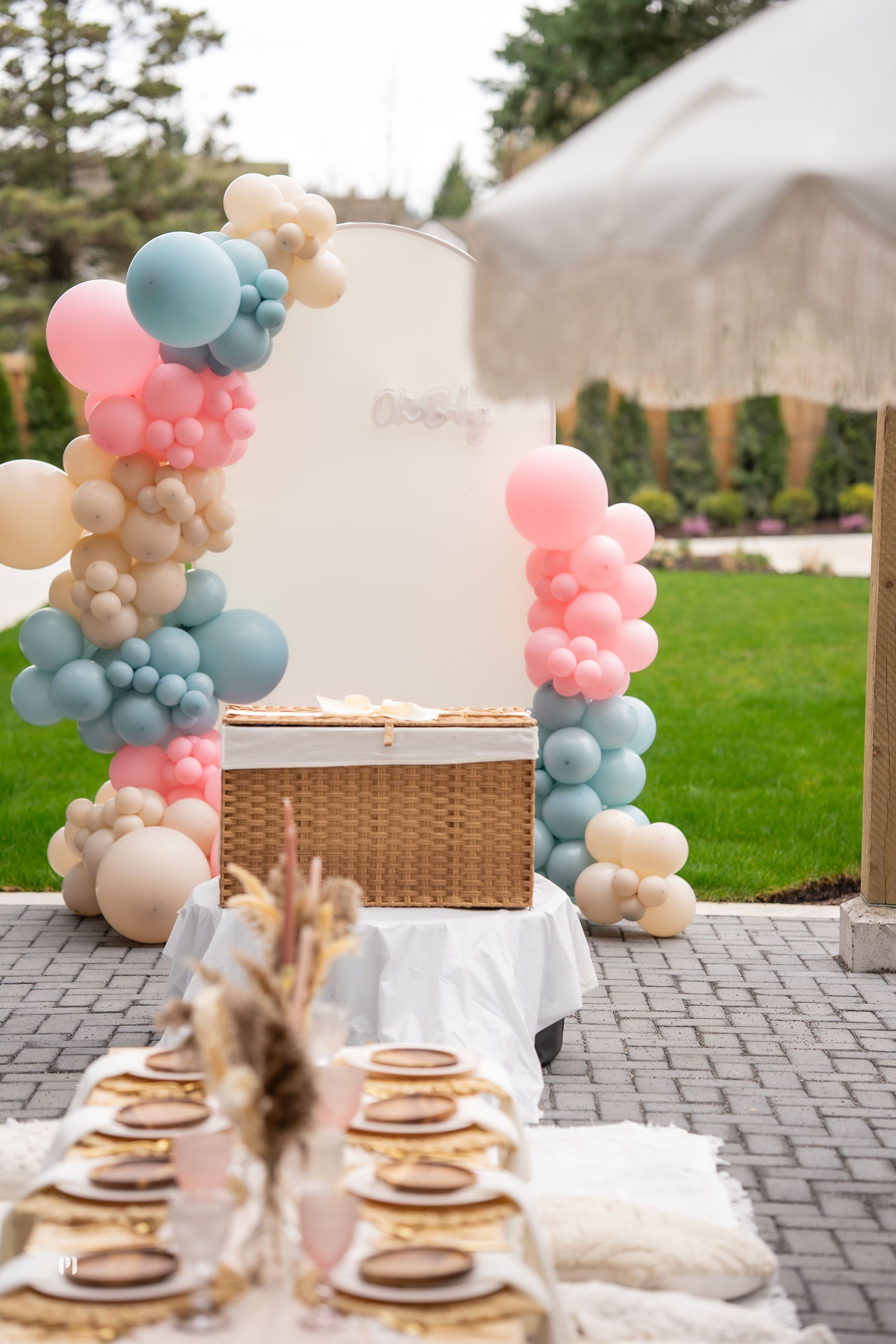Gender Reveal Experience 