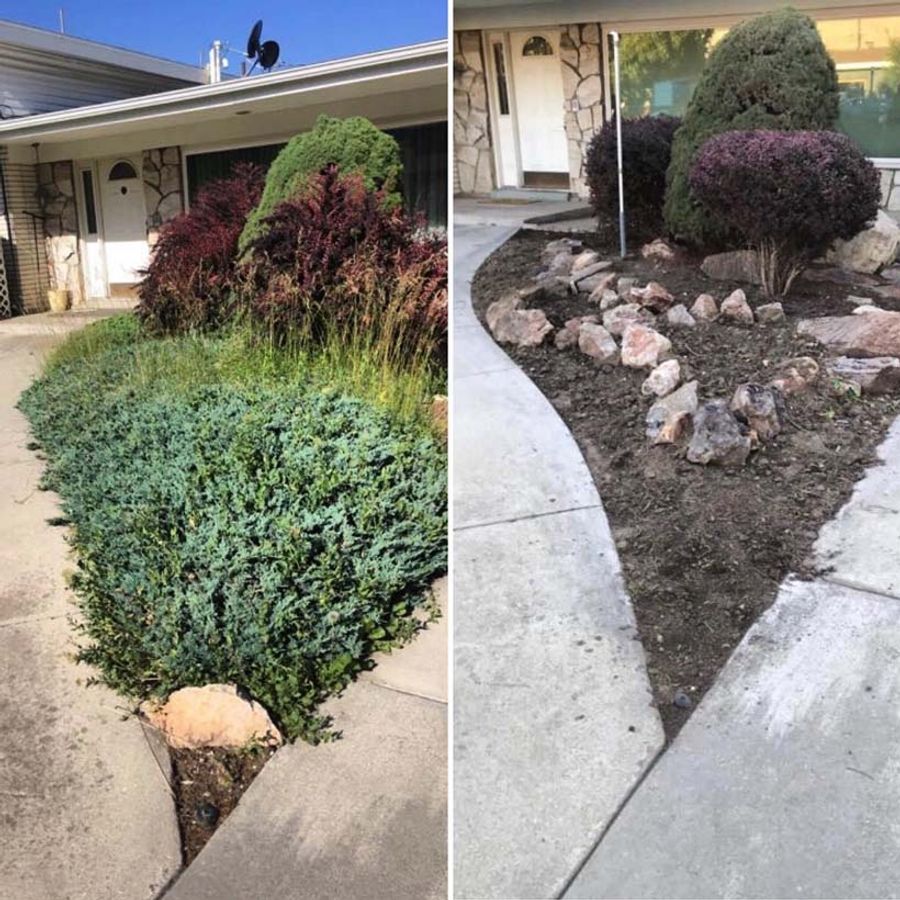 before and after