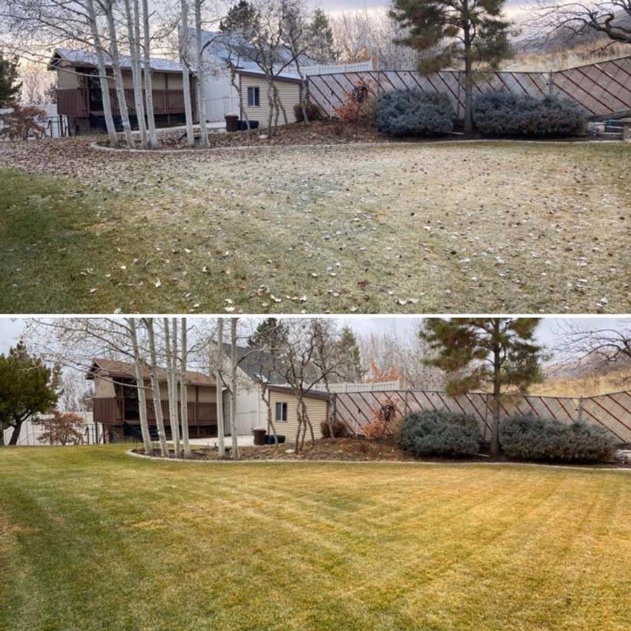 before and after