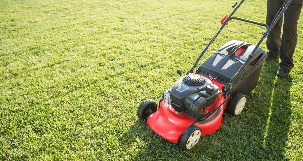 Lawn Renovation