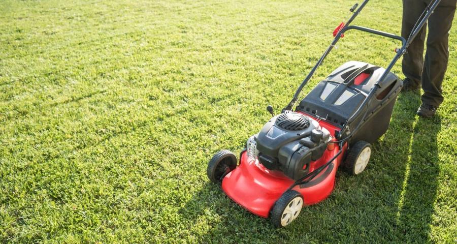 Lawn Renovation