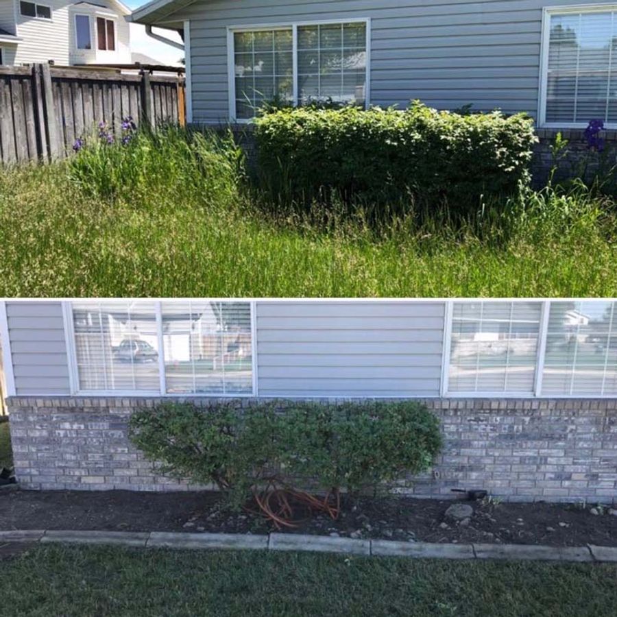 before and after