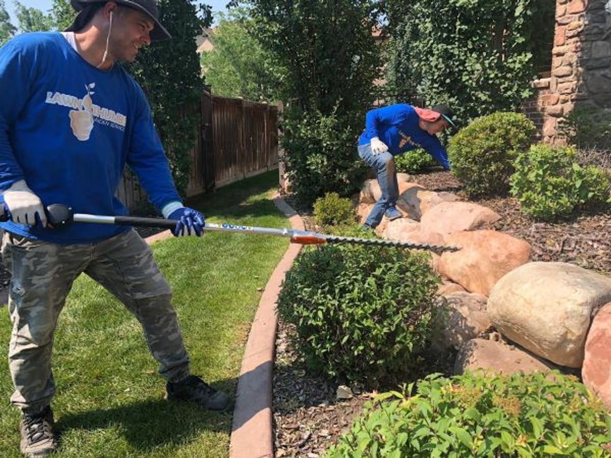 Garden Bed Maintenance in Utah: My Complete Guide to a Thriving, Low-Maintenance Landscape