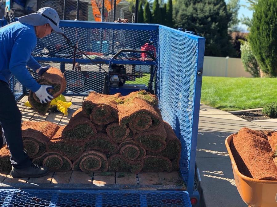 Sod Installation