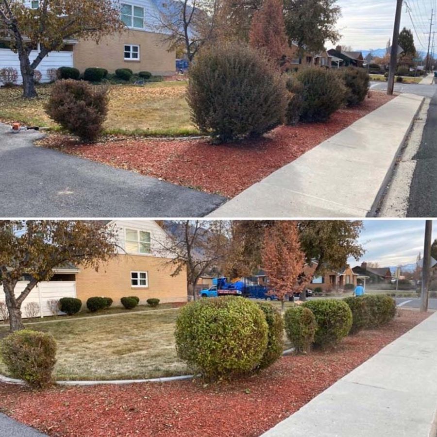 before and after