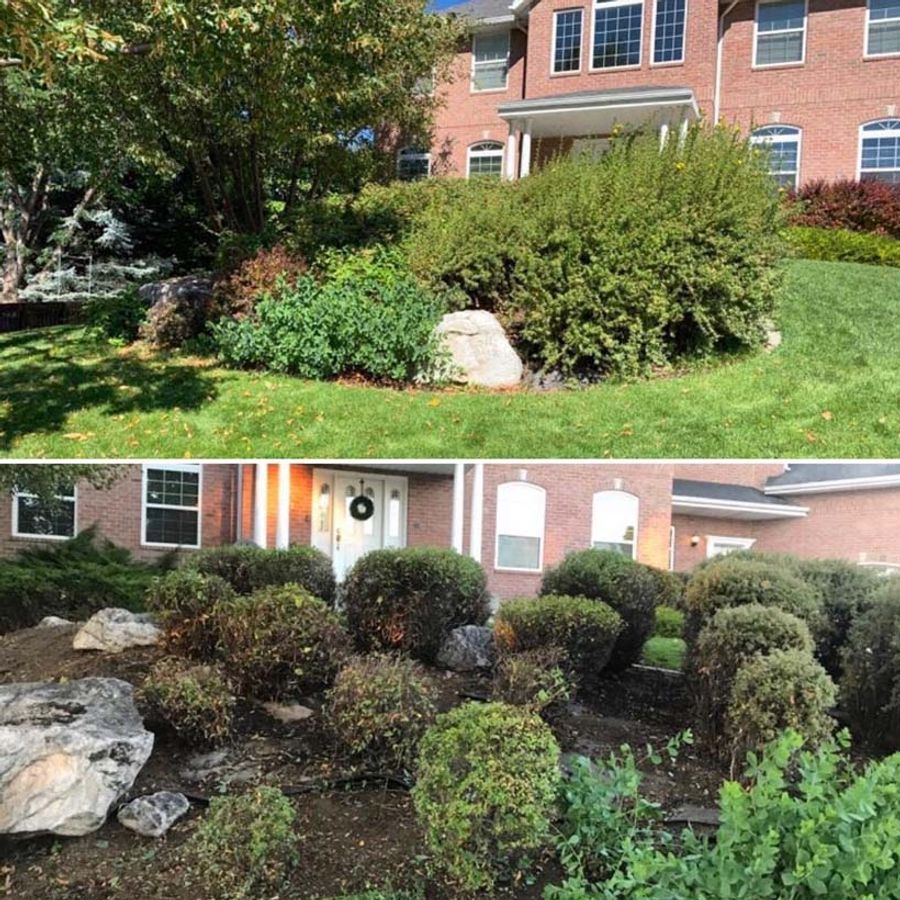 before and after