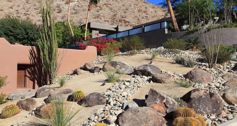 Xeriscaping