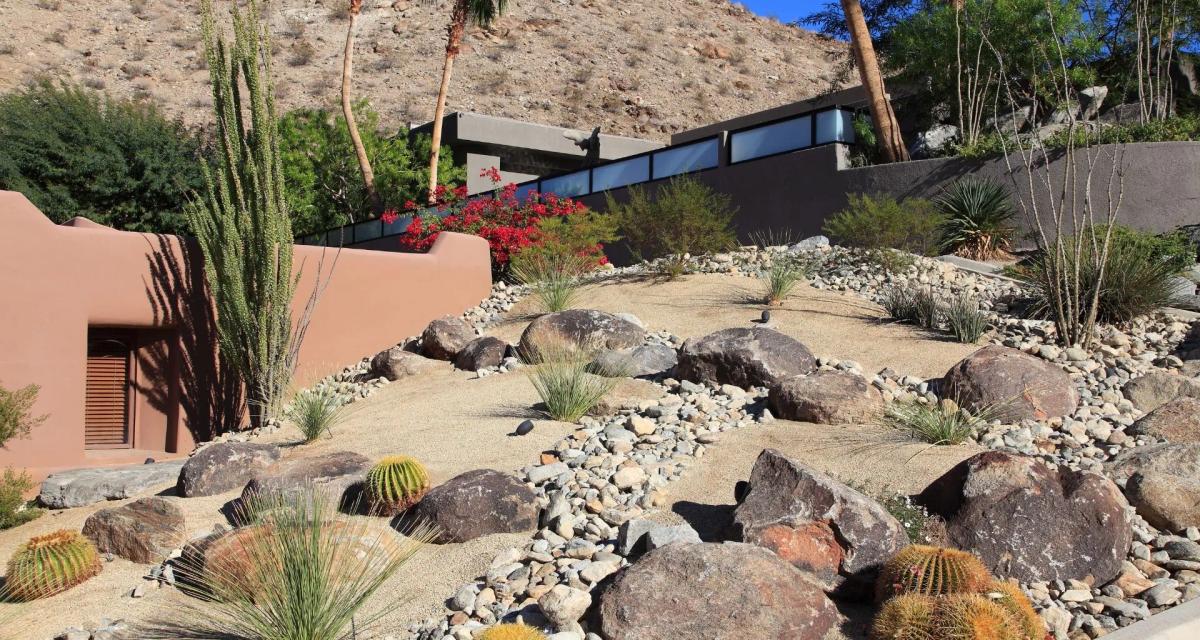 Xeriscaping