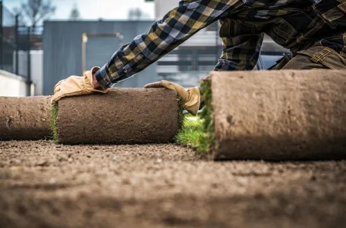 Complete Sod Installation Guide: Real Costs, Process & Pro Tips (2025)