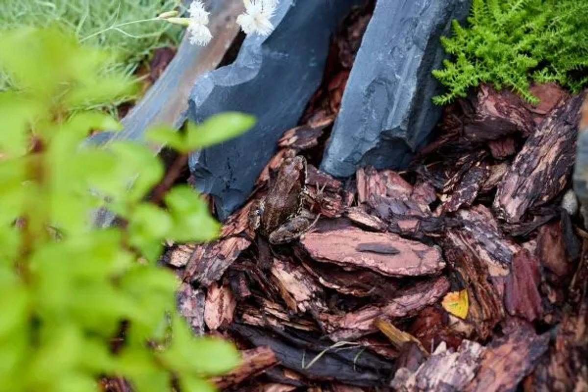 How Much Does Mulch Installation Cost Per Yard in 2025?
