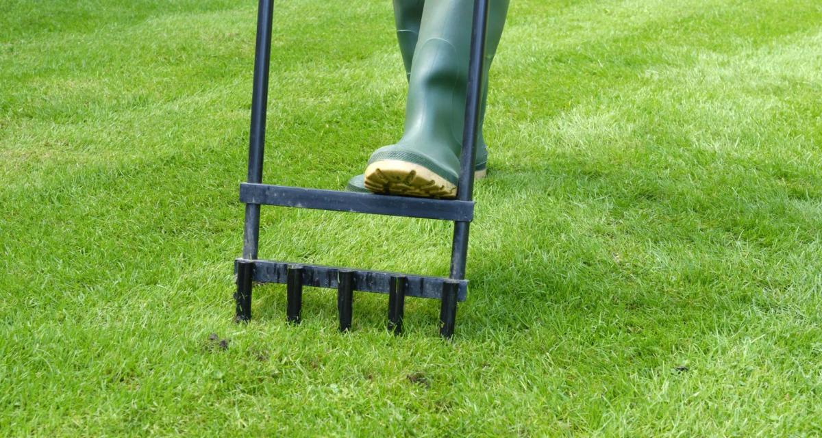 Why Regular Lawn Aeration is Key to a Healthy, Vibrant Yard