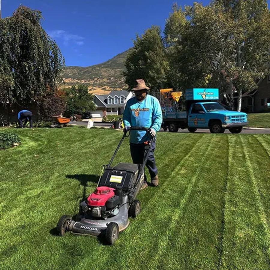 Lawn Mowing