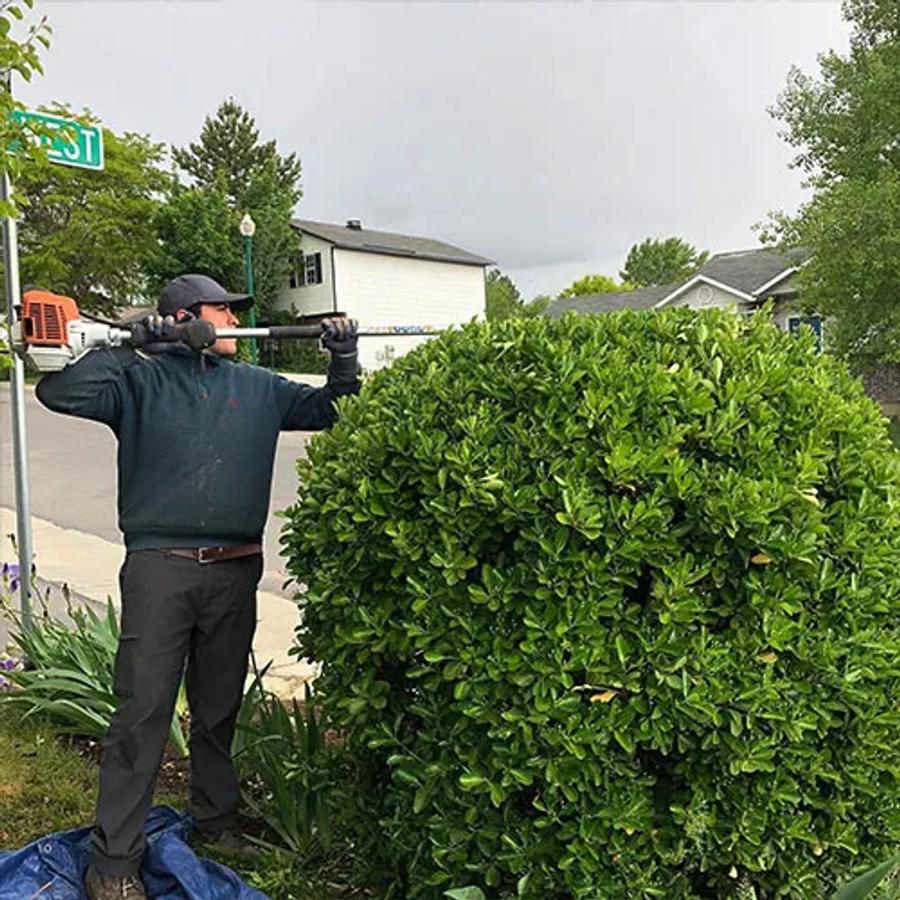 Bush and Hedge Trimming