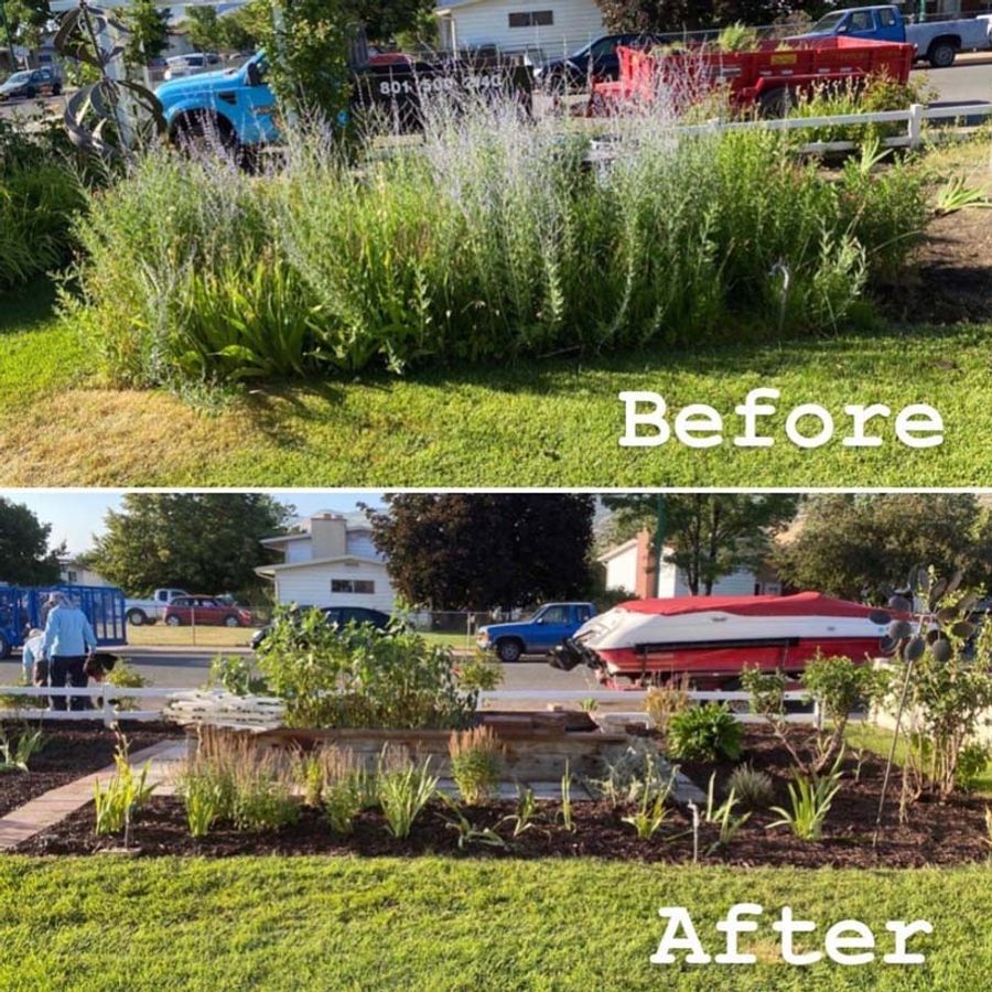 before and after