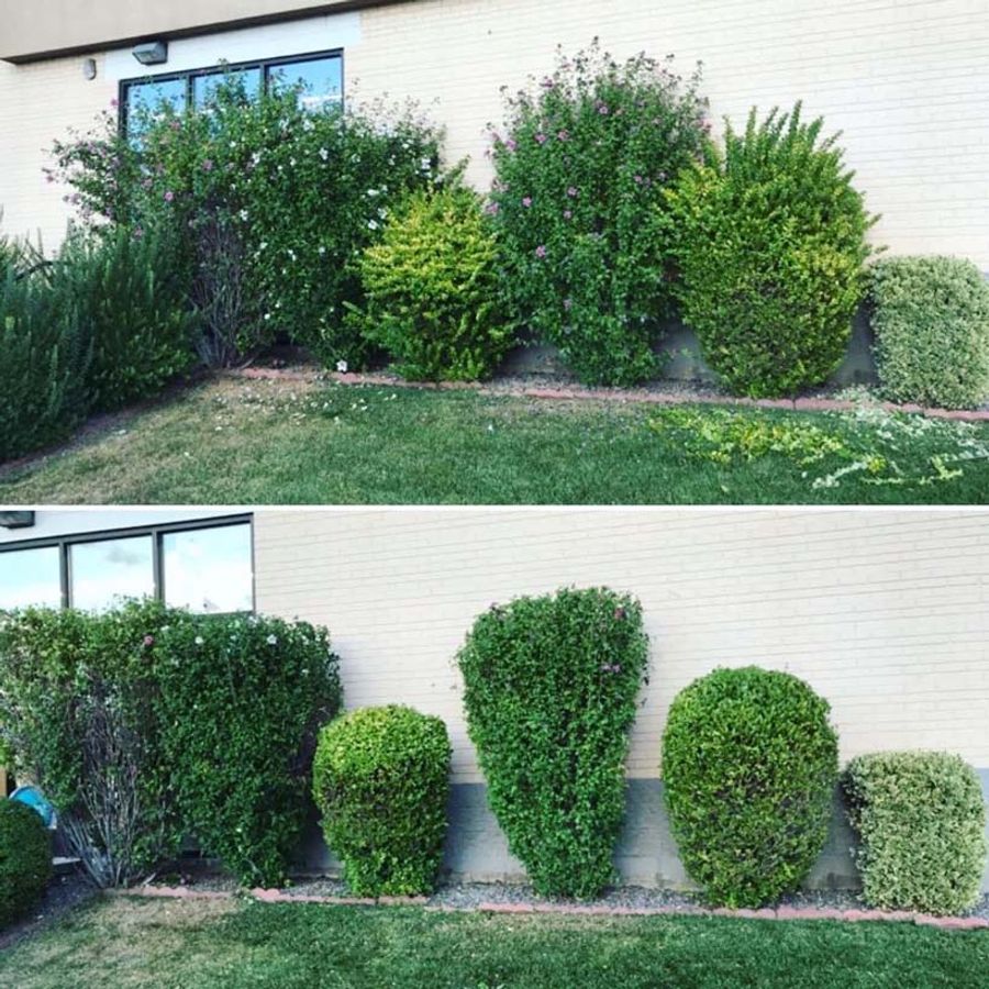 before and after