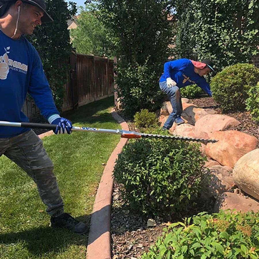 Garden Bed Maintenance