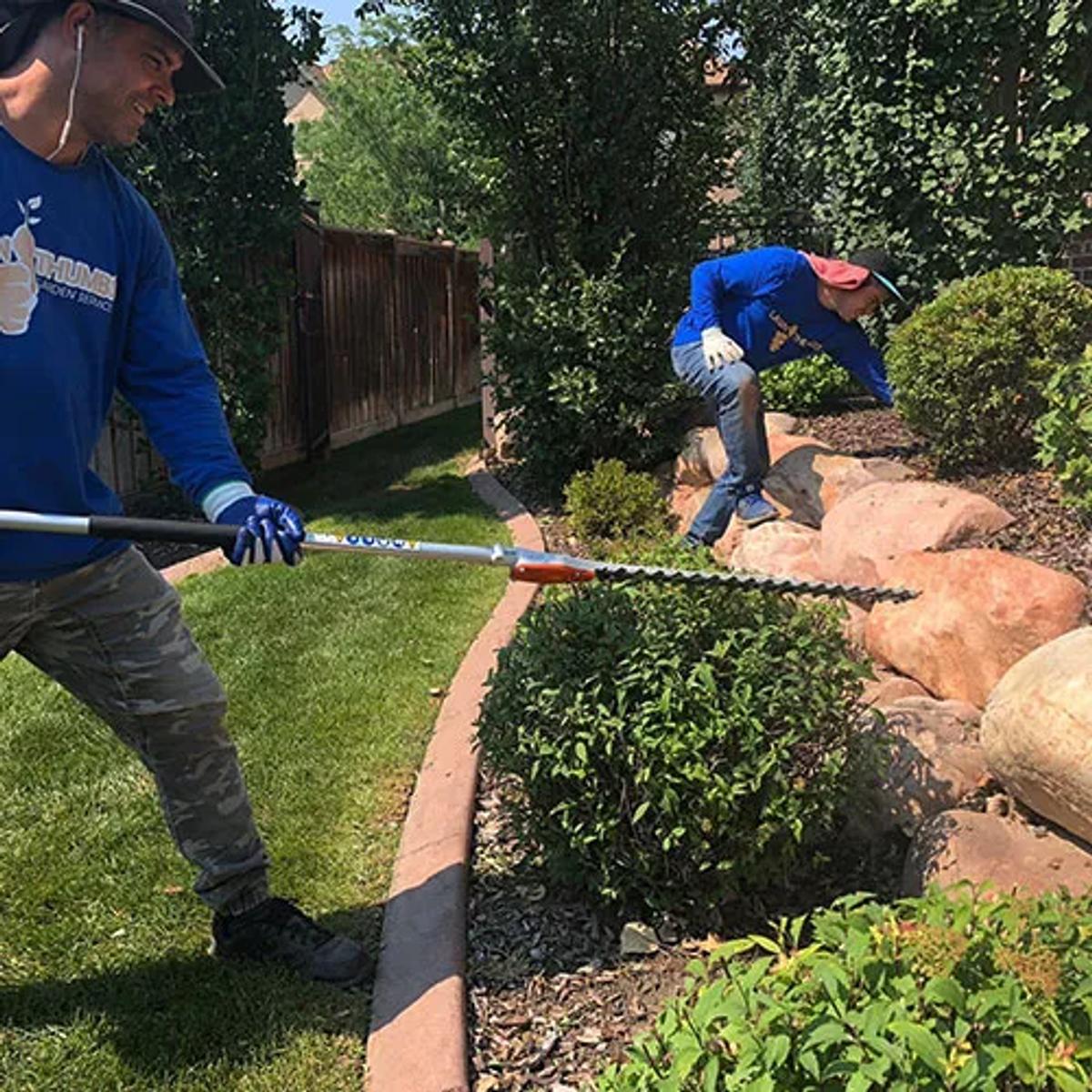Garden Bed Maintenance