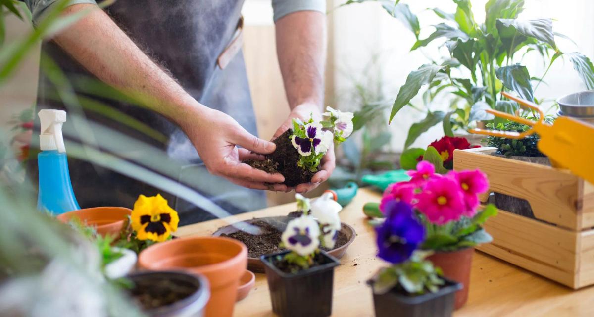 How to Prepare Your Garden for Winter: Essential Tips and Tricks
