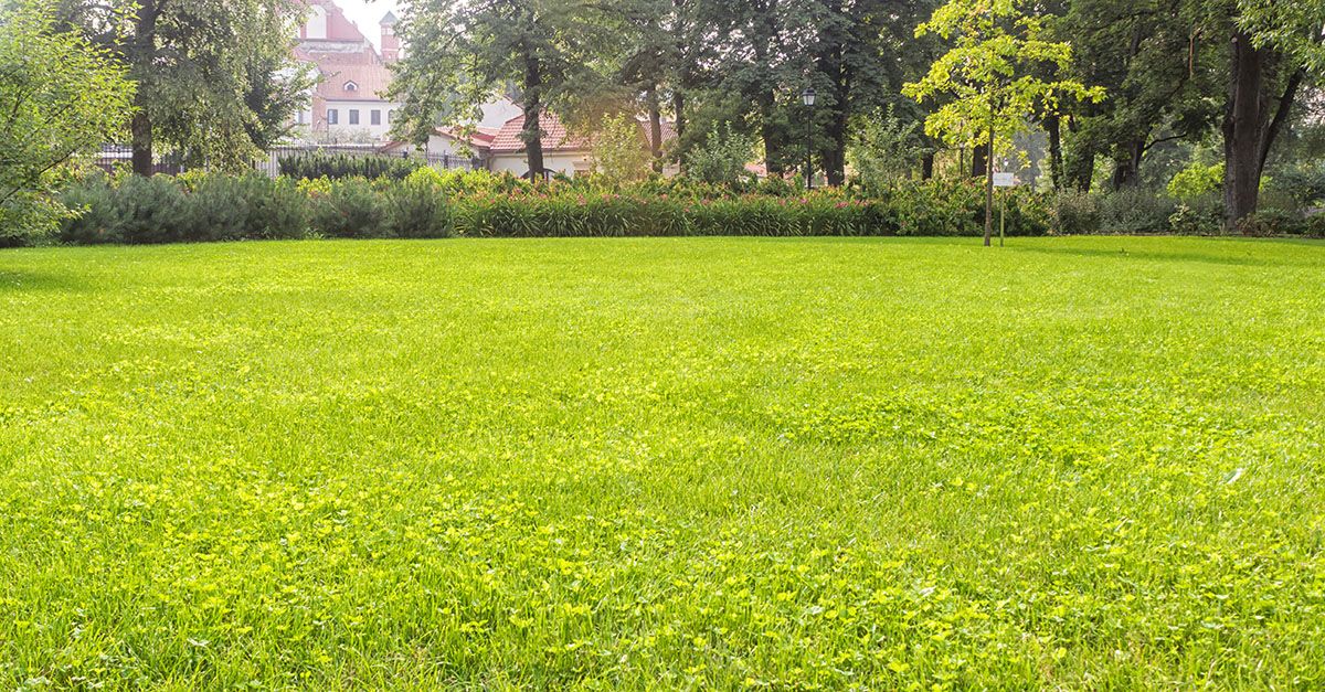 7 Lawn Care Secrets for Green Riverton UT Yards Year-Round