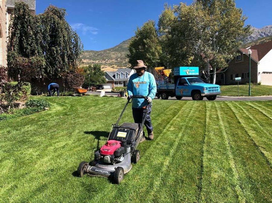 Lawn Thumbs