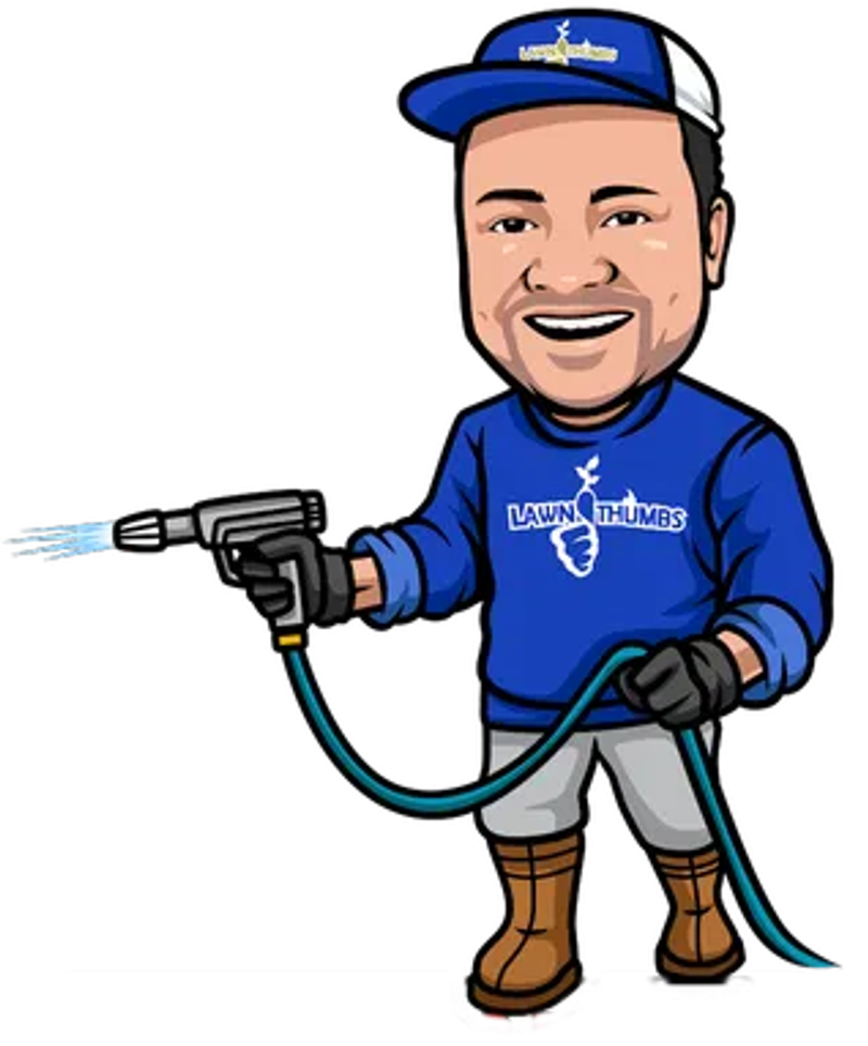 Spring Wake Up Package mascot
