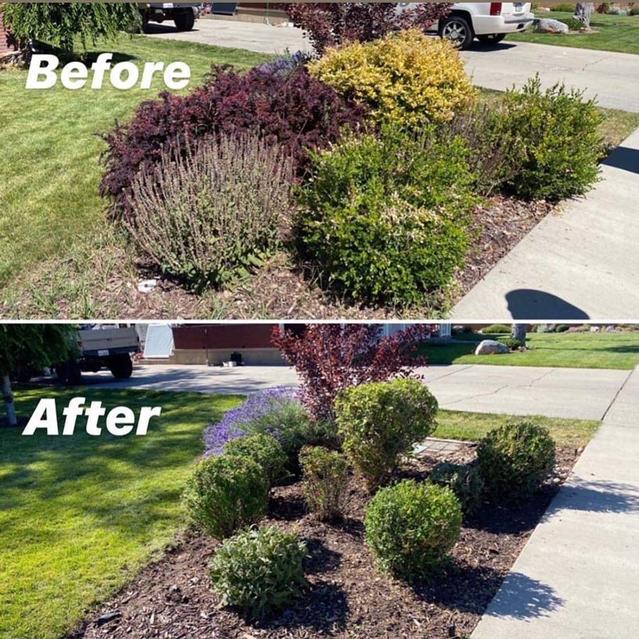 before and after