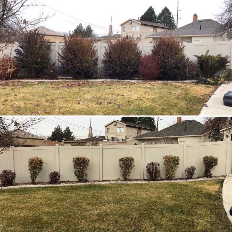 before and after