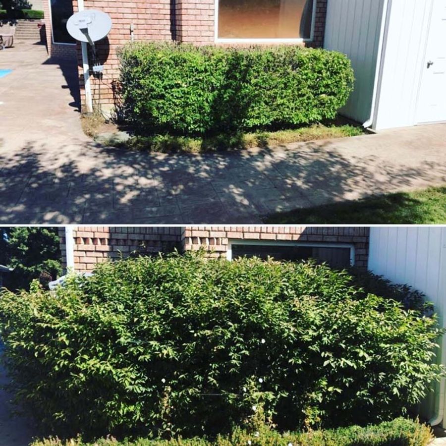 before and after