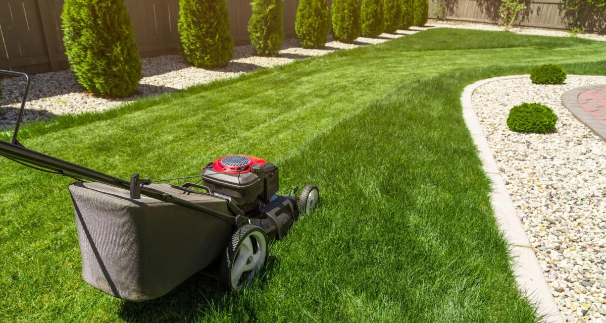 The Ultimate Guide to Choosing the Right Landscape Design for Your Property