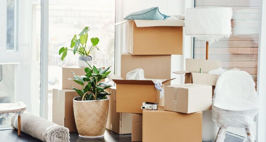 Move In/Move Out Cleaning
