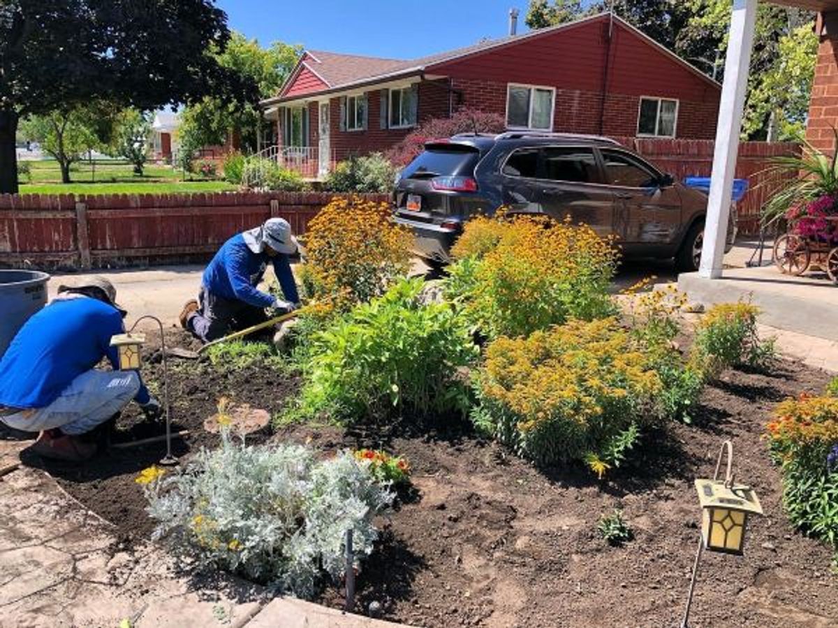 Lawn Renovation in Utah: How I Bring Lawns Back to Life (Step-by-Step)
