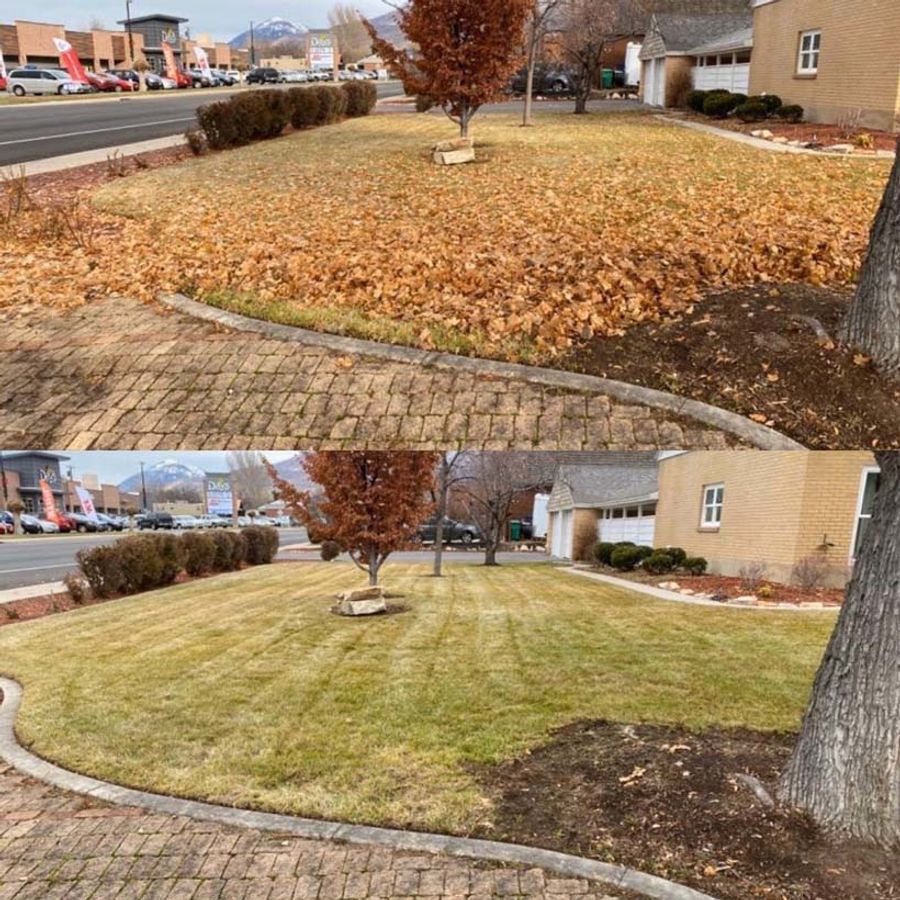 before and after