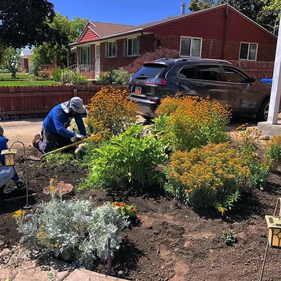 Flower Bed Garden Weed Control