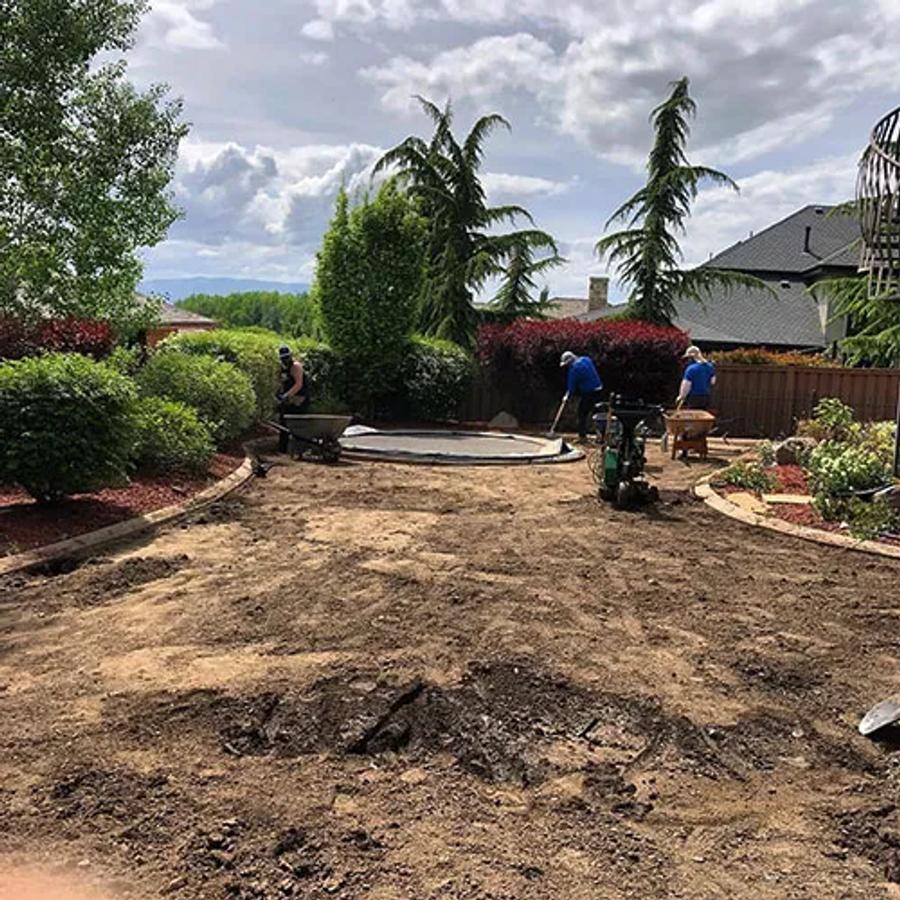 Lawn Demolition