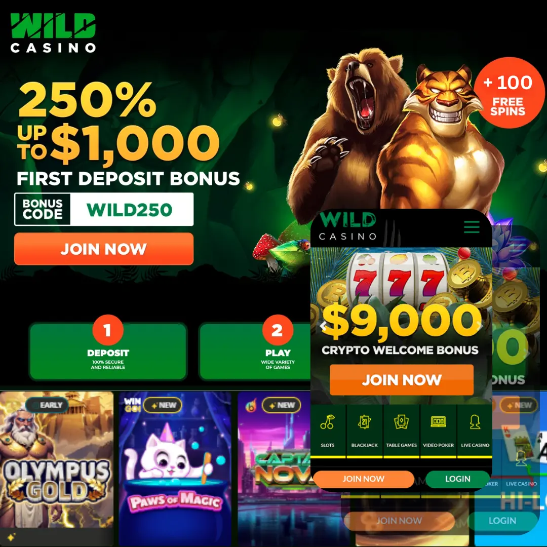 Wild Casino
