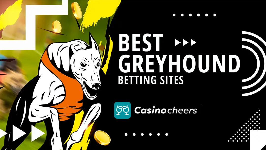 Greyhound Racing Betting