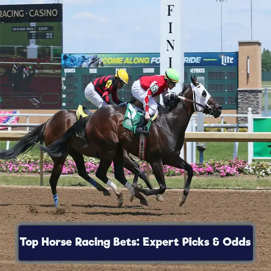Horse Racing Bets