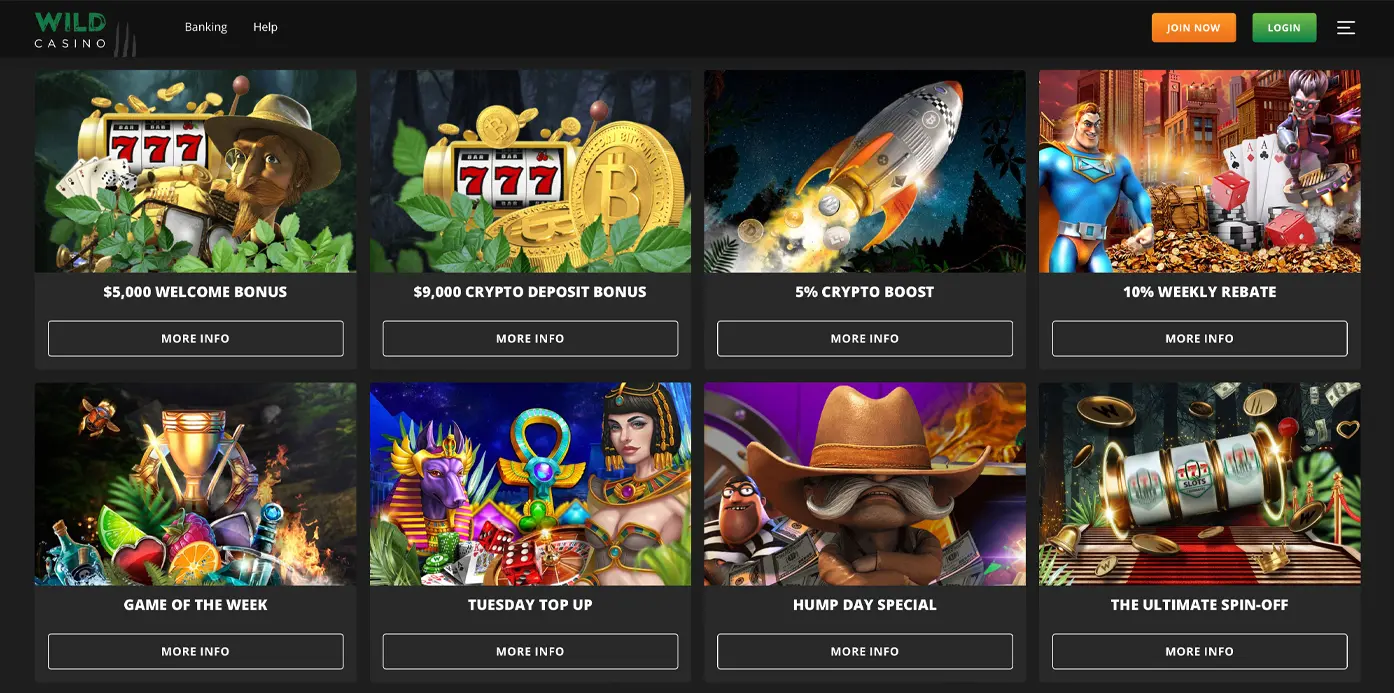 Wild Casino Web