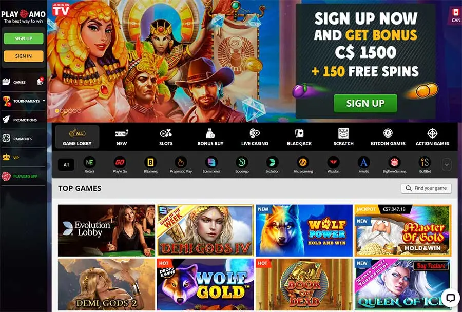 Playamo Web