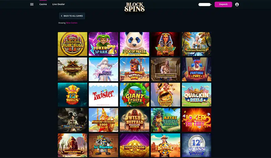 BlockSpins