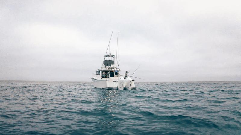 Mercury Verado Outboards